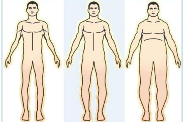 Identificação correta da silhueta ajuda a potencializar o treino físico Reprodução/Reprodução