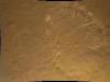 A sonda-robô Curiosity desenhou um círculo no solo marciano com o seu sistema de suspensão para aterrissar no planeta vermelho