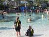 Na área do Grand Reef, dentro do Discovery Cove, é possível usar o snorkel e nadar junto a peixes e arraias