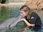Nos parques do SeaWorld visitante tem contato com os animais SeaWorld Parks & Entertainment/Divulgação Nos parques do SeaWorld visitante tem contato com os animais SeaWorld Parks & Entertainment/Divulgação