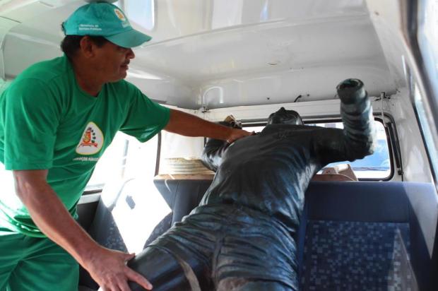 Estátua de Pelé é atropelada por caminhão desgovernado em Santos Nirley Sena/A Tribuna de Santos