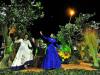 Entre os temas abordados pelas alegorias, estavam a flora (foto), fauna, etnia, indústria e a história da cultura e da sociedade gaúcha
