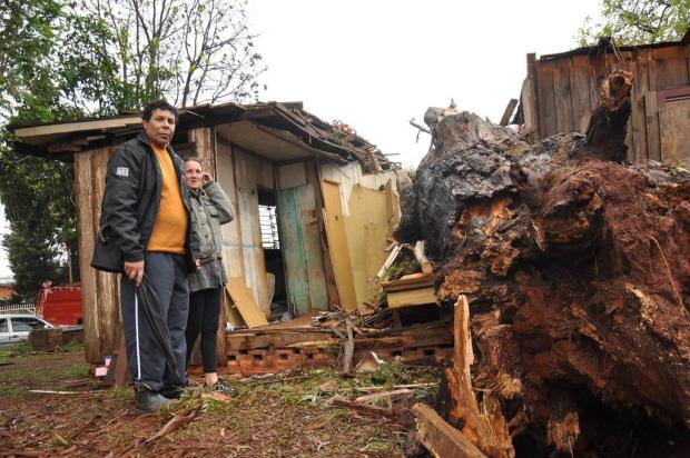“Foi Deus que nos salvou”, diz mulher que teve casa destruída por árvore em Passo Fundo Diogo Zanatta/Especial
