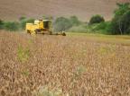 Balança do agronegócio tem superávit de US$ 8,21 bilhões em abril  Roberto Witter/Agencia RBS