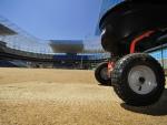 Grama começou a ser plantada na Arena