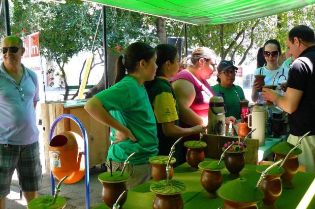 Escola do Chimarrão de Venâncio Aires ensina a preparar mates diferentes em praça de Porto Alegre Letícia Castro/MUHM/Divulgação