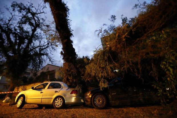 Árvore de grande porte cai sobre dois carros em Porto Alegre Félix Zucco/Agencia RBS