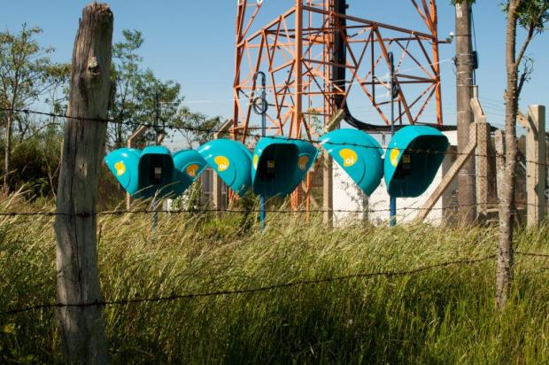 Orelhões são instalados em meio a matagal e junto a cemitério em Passa Sete César Lopes/Especial Orelhões são instalados em meio a matagal e junto a cemitério em Passa Sete César Lopes/Especial