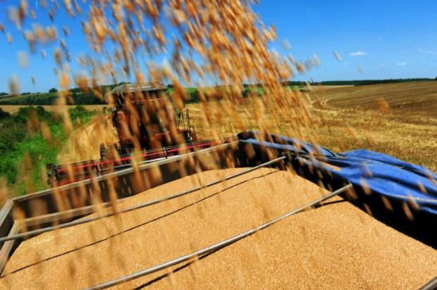 Risco de apagão logístico preocupa produtores agrícolas Charles Guerra/Agencia RBS Risco de apagão logístico preocupa produtores agrícolas Charles Guerra/Agencia RBS