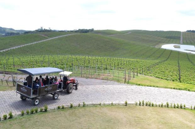 Passeio de trator por vinícola é novidade em Flores da Cunha Lucianara Masiero/Vinícola Luiz Argenta