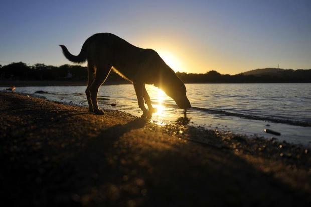 Calor aumenta e temperatura deve passar dos 34°C na Metade Oeste Bruno Alencastro/Agencia RBS Calor aumenta e temperatura deve passar dos 34°C na Metade Oeste Bruno Alencastro/Agencia RBS