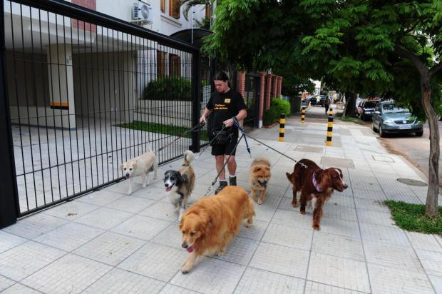 Sem tempo para andar com os cães, donos recorrem aos passeadores Fernando Gomes/Agencia RBS