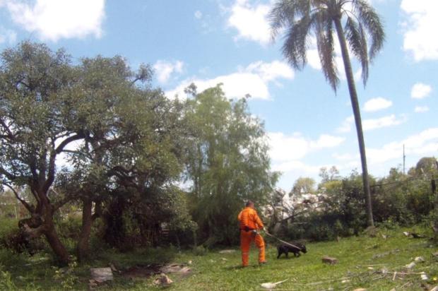 VÍDEO: Cemitério do tráfico é encontrado por cães farejadores na Capital Reprodução/Diário Gaúcho VÍDEO: Cemitério do tráfico é encontrado por cães farejadores na Capital Reprodução/Diário Gaúcho