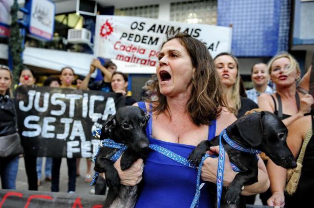 Manifestantes protestam contra supostas execuções de cães em hospital universitário de Canoas Adriana Franciosi/Agencia RBS