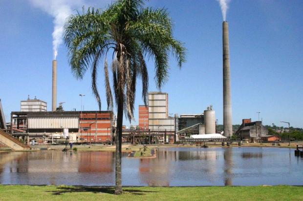 Presidente da Celulose Riograndense garante que ampliação não causará impacto ambiental Daniel Andriotti/CMPC/Divulgação