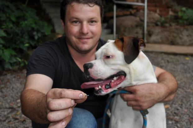 Cães e gatos recebem microchips gratuitamente em Lajeado Carlos Eduardo Schneider/Especial