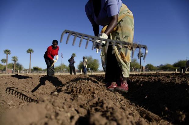Terreno baldio em Phoenix oferece a refugiados um gostinho de casa Joshua Lot/NYTNS Terreno baldio em Phoenix oferece a refugiados um gostinho de casa Joshua Lot/NYTNS