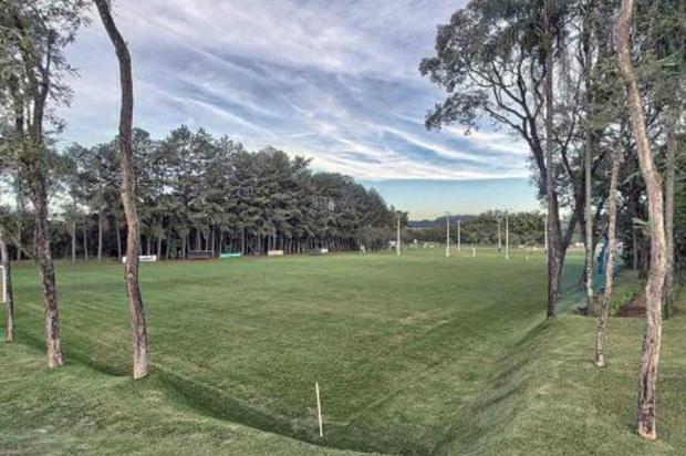 Grêmio anuncia pré-temporada em Londrina, no Paraná Divulgação/