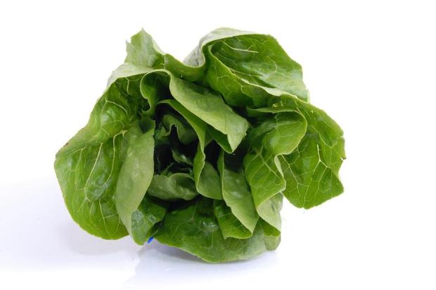 Sintomas da gastrite podem ser amenizados com alimentação adequada Stock.Xchng/Divulgação Sintomas da gastrite podem ser amenizados com alimentação adequada Stock.Xchng/Divulgação