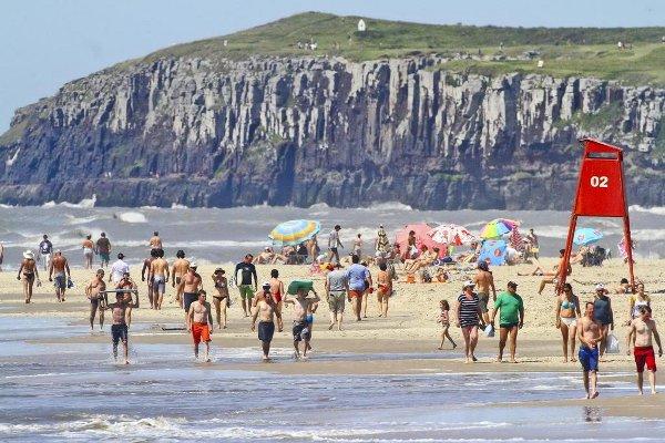 Operação Golfinho já registra 60 salvamentos no litoral gaúcho Harleyson Almeida/Agência RBS Operação Golfinho já registra 60 salvamentos no litoral gaúcho Harleyson Almeida/Agência RBS