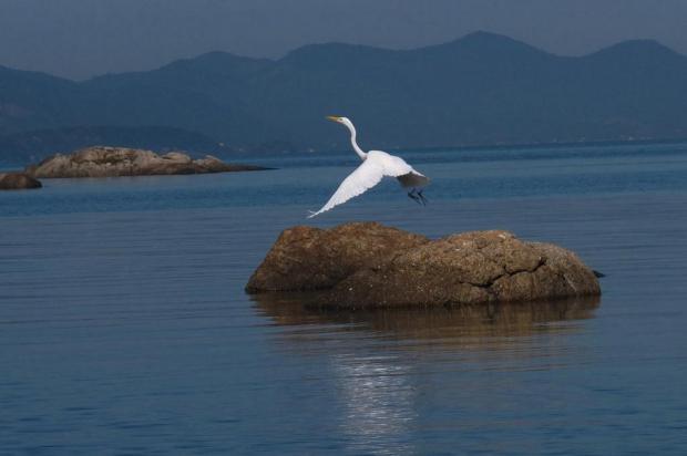 Com tempo chuvoso, turista tem que buscar atrações alternativas em Florianópolis Manu Althoff/Arquivo Pessoal Com tempo chuvoso, turista tem que buscar atrações alternativas em Florianópolis Manu Althoff/Arquivo Pessoal