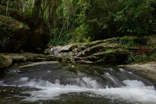 Conheça a Cachoeira Seca, em Camboriú, no Litoral Norte de SC Rafaela Martins/Agencia RBS Conheça a Cachoeira Seca, em Camboriú, no Litoral Norte de SC Rafaela Martins/Agencia RBS