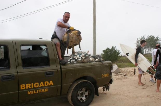 Redes de pesca são apreendidas no Litoral Norte Ângela de Paula/Divulgação