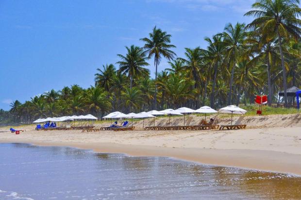 Reserva de floresta nativa e boa condição de hotelaria é atração em Mata de São João, na Bahia Grand Palladium Imbassaí/Divulgação