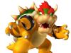 Bowser: Também conhecido por Koopa, é uma espécie de tartaruga-dragão que pretende conquistar o Reino  do Cogumelo sequestrando sua regente, a Princesa Peach. O único que pode impedi-lo é o encanador italiano Mario, que, desde o primeiro game, lançado  em 1985, peleia contra o monstro.