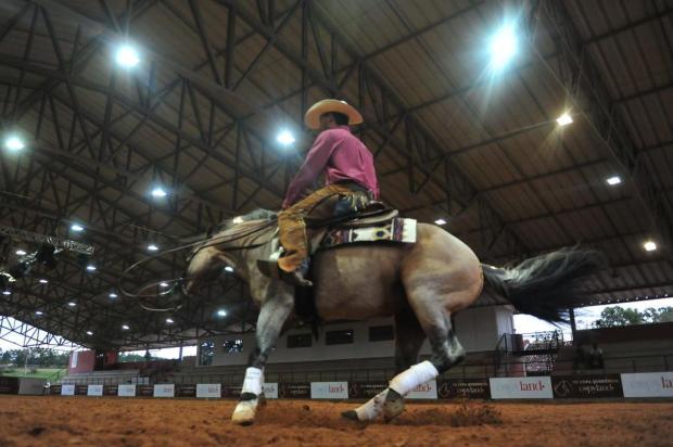 Conquista em prova de rédeas abre novo mercado para o cavalo crioulo Tadeu Vilani/Agencia RBS Conquista em prova de rédeas abre novo mercado para o cavalo crioulo Tadeu Vilani/Agencia RBS