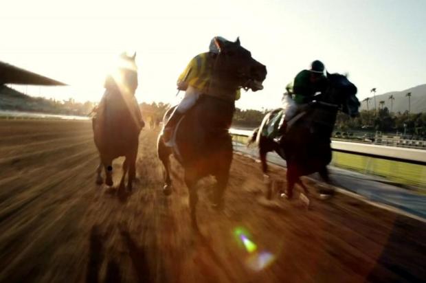 HBO é processada por maus-tratos de cavalos durante gravação da série Luck HBO/Reprodução