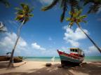 Conheça a rota de turismo sustentável na APA Costa dos Corais, no Nordeste Divulgação/Fundação Toyota do Brasil