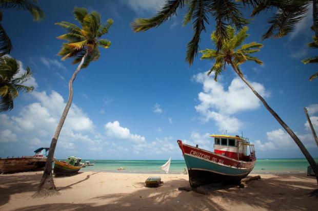 Conheça a rota de turismo sustentável na APA Costa dos Corais, no Nordeste Divulgação/Fundação Toyota do Brasil