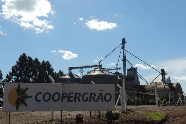 Parcerias são alternativas para investir em silos Neivo Fabris/Especial Parcerias são alternativas para investir em silos Neivo Fabris/Especial