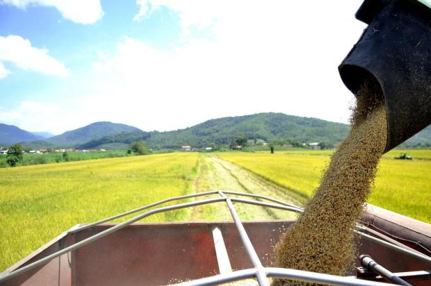 CNA projeta alta de 18% no valor bruto da produção agrícola em 2013 Diorgenes Pandini/Agencia RBS CNA projeta alta de 18% no valor bruto da produção agrícola em 2013 Diorgenes Pandini/Agencia RBS