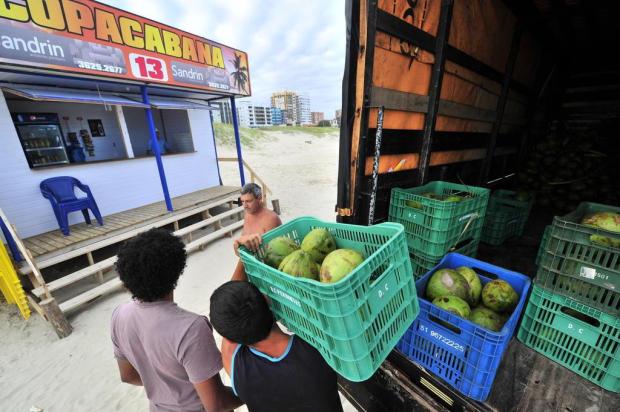 Uma das frutas mais desejadas na praia pode percorrer mais de 3 mil quilômetros para chegar ao Estado Lauro Alves/Agencia RBS Uma das frutas mais desejadas na praia pode percorrer mais de 3 mil quilômetros para chegar ao Estado Lauro Alves/Agencia RBS