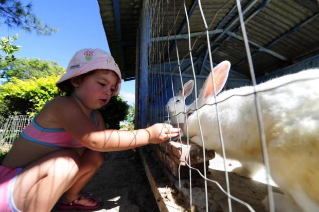 Praça atrai crianças para brincar com os animais em Imbé Ricardo Duarte/Agencia RBS Praça atrai crianças para brincar com os animais em Imbé Ricardo Duarte/Agencia RBS