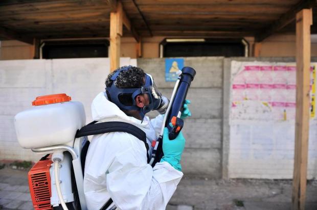Epidemia de dengue em outros estados começa a afetar o Rio Grande do Sul Tadeu Vilani/Agencia RBS Epidemia de dengue em outros estados começa a afetar o Rio Grande do Sul Tadeu Vilani/Agencia RBS