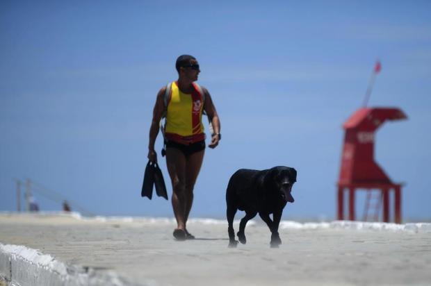 A história do cão que acompanha três salva-vidas até o trabalho em Imbé Ricardo Duarte/Agencia RBS