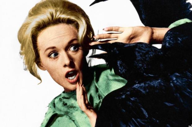 A influência de Hitchcock sobre as mulheres Reprodução/IMDB A influência de Hitchcock sobre as mulheres Reprodução/IMDB