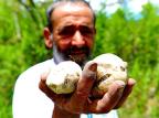 Produtos orgânicos são alternativa de alimentação saudável Fernando Gomes/Agencia RBS