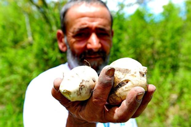Produtos orgânicos são alternativa de alimentação saudável Fernando Gomes/Agencia RBS Produtos orgânicos são alternativa de alimentação saudável Fernando Gomes/Agencia RBS