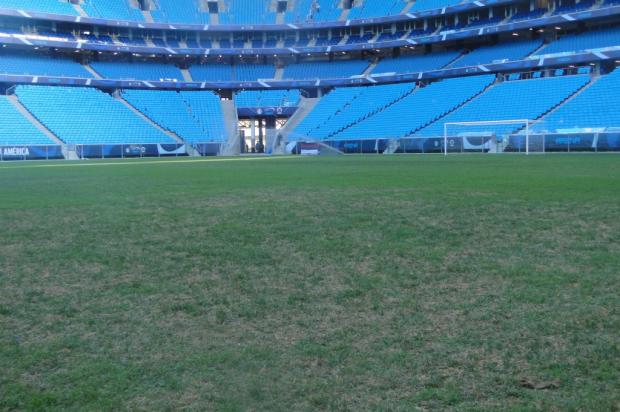 Agrônoma responsável promete gramado da Arena seguro contra a LDU Marco Souza/Agência RBS
