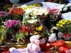 Flores depositada pela cominidade enfrente a boate kiss em homenagem as vítimas