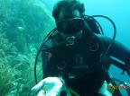 Mergulho permite ao praticante visitar um universo multicolorido e rico em animais curiosos Arquivo Pessoal/Guilherme Nonohay Mergulho permite ao praticante visitar um universo multicolorido e rico em animais curiosos Arquivo Pessoal/Guilherme Nonohay