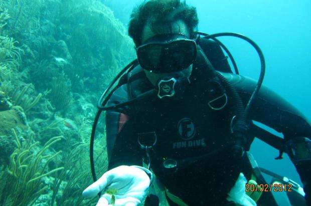 Mergulho permite ao praticante visitar um universo multicolorido e rico em animais curiosos Arquivo Pessoal/Guilherme Nonohay Mergulho permite ao praticante visitar um universo multicolorido e rico em animais curiosos Arquivo Pessoal/Guilherme Nonohay