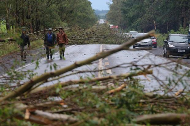 Vento de 80km/h derruba árvores e bloqueia BR-392 em São Sepé Emerson Souza/Agencia RBS Vento de 80km/h derruba árvores e bloqueia BR-392 em São Sepé Emerson Souza/Agencia RBS