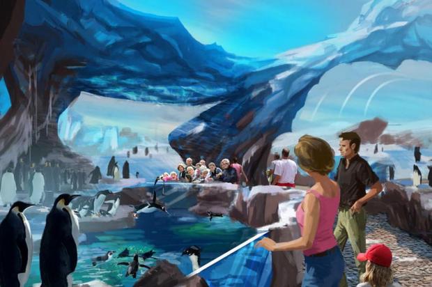 SeaWorld Orlando revela novas imagens da Antarctica: Empire of the Penguin Divulgação/SeaWorld