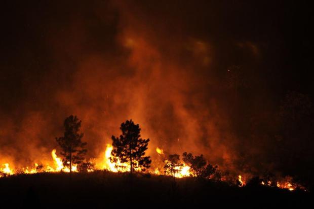Incêndio atinge o Morro da Tapera, em Porto Alegre, desde a tarde desta quarta Caco Konzen/Especial Incêndio atinge o Morro da Tapera, em Porto Alegre, desde a tarde desta quarta Caco Konzen/Especial