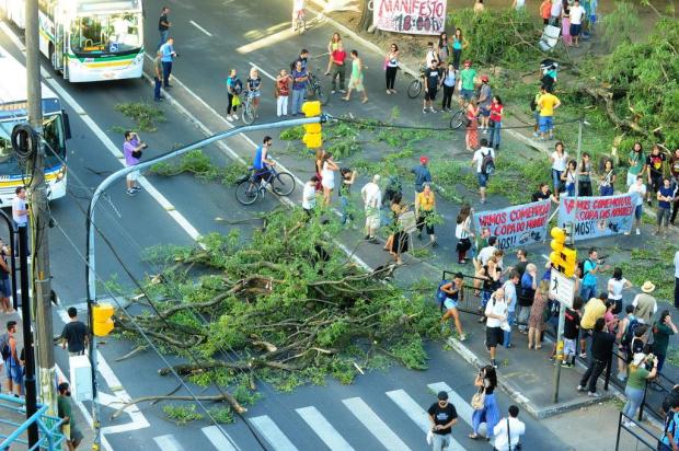 MP convoca secretários para explicar corte de árvores em Porto Alegre Jean Schwarz/Agencia RBS MP convoca secretários para explicar corte de árvores em Porto Alegre Jean Schwarz/Agencia RBS